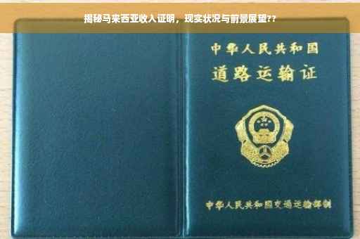 揭秘马来西亚收入证明，现实状况与前景展望??