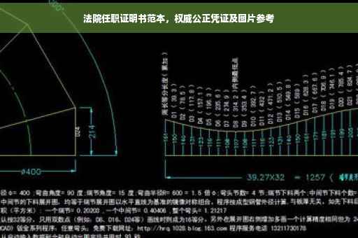 法院任职证明书范本，权威公正凭证及图片参考