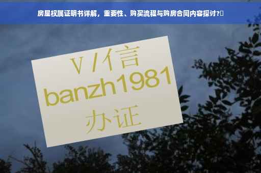 房屋权属证明书详解，重要性、购买流程与购房合同内容探讨?✨