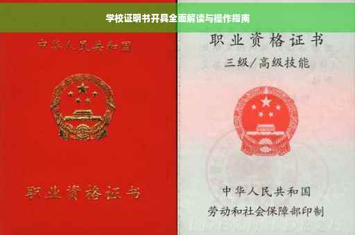 学校证明书开具全面解读与操作指南