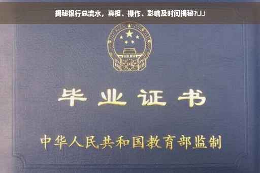 揭秘银行总流水，真相、操作、影响及时间揭秘?⚡️