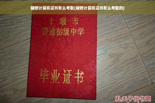 辅修计算机证书怎么考取(辅修计算机证书怎么考取的)