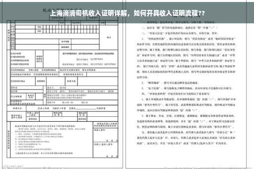 上海滴滴司机收入证明详解，如何开具收入证明流程??