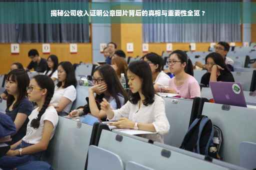 揭秘公司收入证明公章图片背后的真相与重要性全览 ?