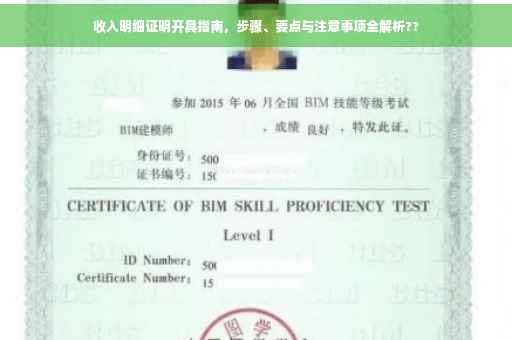 收入明细证明开具指南，步骤、要点与注意事项全解析??