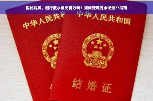 揭秘解析，银行流水当天有效吗？如何查询流水记录??指南