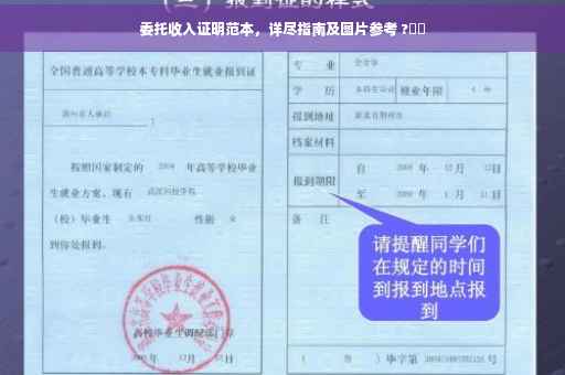 委托收入证明范本，详尽指南及图片参考 ?⚡️