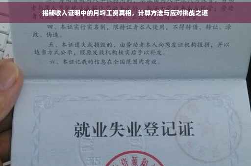 揭秘收入证明中的月均工资真相，计算方法与应对挑战之道