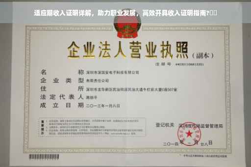 适应期收入证明详解，助力职业发展，高效开具收入证明指南?⚡️