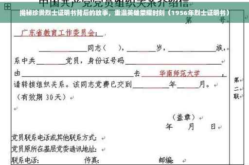 揭秘珍贵烈士证明书背后的故事，重温英雄荣耀时刻（1956年烈士证明书）