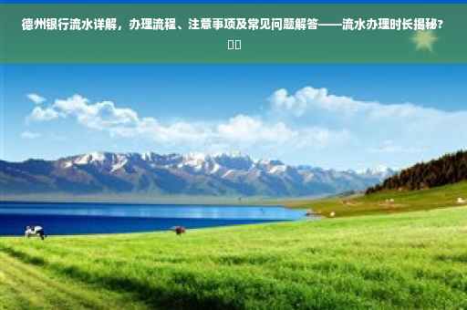 德州银行流水详解，办理流程、注意事项及常见问题解答——流水办理时长揭秘?⚡️