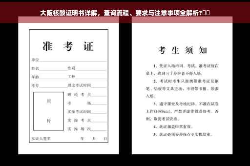 大阪核酸证明书详解，查询流程、要求与注意事项全解析?⚡️
