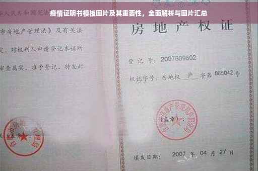 疫情证明书模板图片及其重要性，全面解析与图片汇总