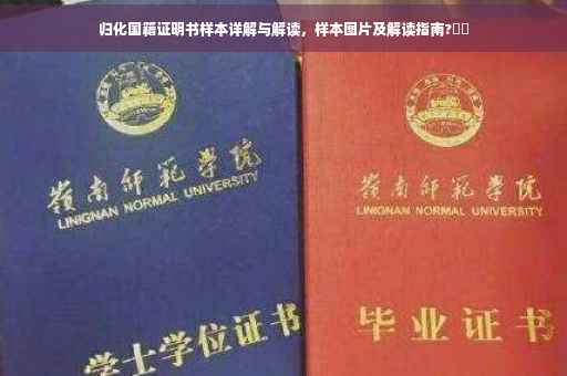 归化国籍证明书样本详解与解读，样本图片及解读指南?⚡️