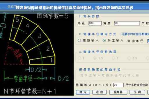 娃娃鱼饲养证明背后的神秘生物真实面纱揭秘，揭示娃娃鱼的真实世界