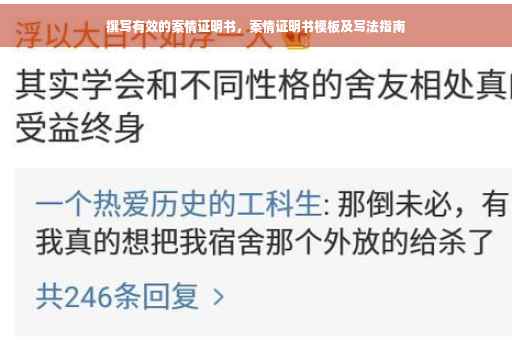 撰写有效的案情证明书，案情证明书模板及写法指南