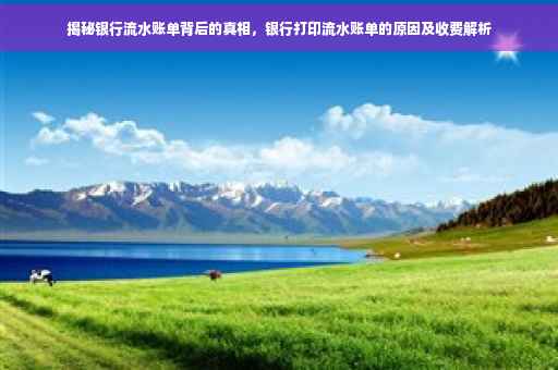 揭秘银行流水账单背后的真相，银行打印流水账单的原因及收费解析