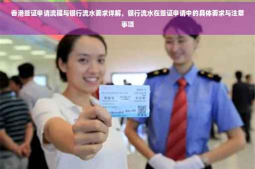 香港签证申请流程与银行流水要求详解，银行流水在签证申请中的具体要求与注意事项