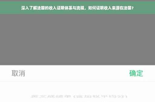 深入了解法国的收入证明体系与流程，如何证明收入来源在法国？