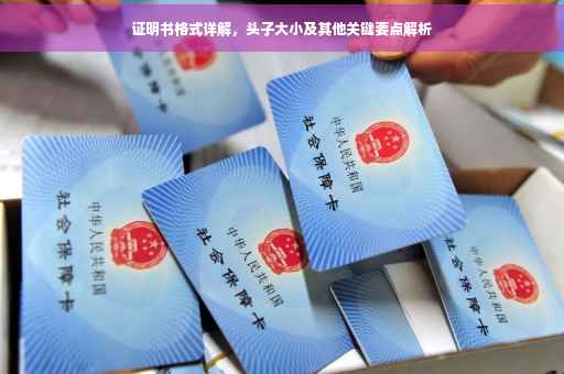 证明书格式详解，头子大小及其他关键要点解析