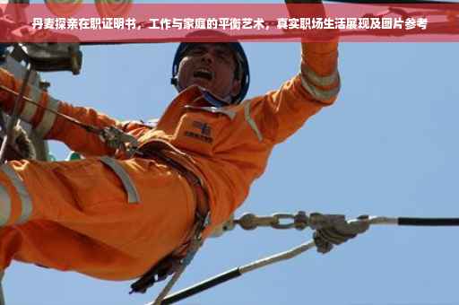 丹麦探亲在职证明书，工作与家庭的平衡艺术，真实职场生活展现及图片参考