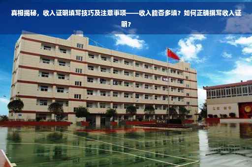 真相揭秘，收入证明填写技巧及注意事项——收入能否多填？如何正确撰写收入证明？