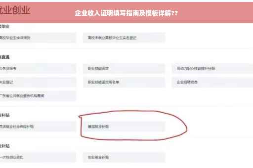 企业收入证明填写指南及模板详解??