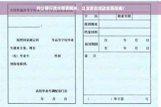 对公银行流水摘要解析，企业资金流动全面指南?