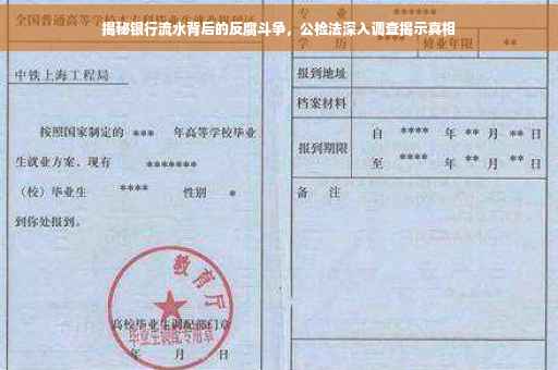 揭秘银行流水背后的反腐斗争，公检法深入调查揭示真相