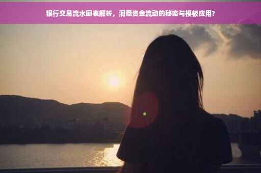 银行交易流水图表解析，洞悉资金流动的秘密与模板应用?