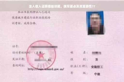 法人收入证明模板详解，撰写要点及其重要性??