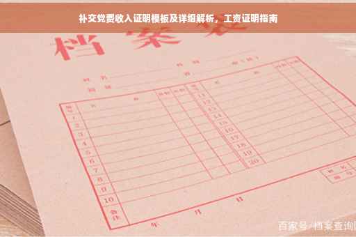 补交党费收入证明模板及详细解析，工资证明指南