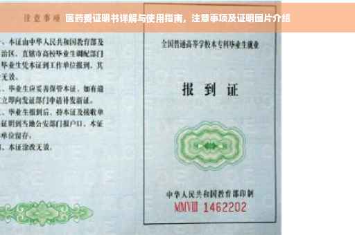 医药费证明书详解与使用指南，注意事项及证明图片介绍