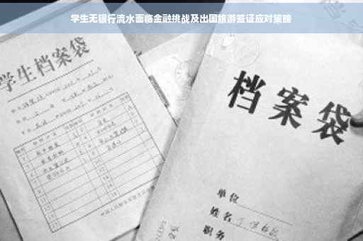 学生无银行流水面临金融挑战及出国旅游签证应对策略