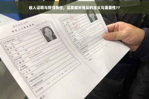 收入证明与担保责任，深度解析背后的含义与重要性??