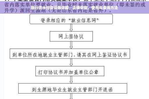 银行流水付款证据详解，正确获取、使用与查询方法