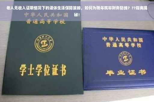 老人无收入证明情况下的退休生活保障策略，如何为晚年筑牢财务防线？??指南揭秘！