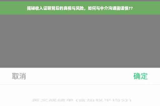 揭秘收入证明背后的真相与风险，如何与中介沟通需谨慎??