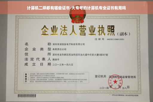计算机二级都有哪些证书-大专考的计算机专业证书有用吗