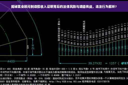 揭秘置业顾问制造假收入证明背后的法律风险与道德挑战，违法行为解析?