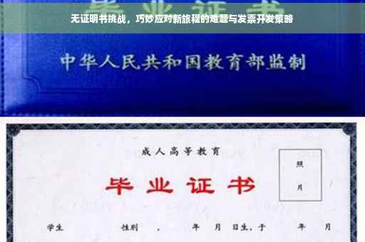 无证明书挑战，巧妙应对新旅程的难题与发票开发策略