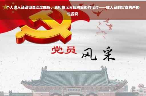 个人收入证明审查深度解析，真相揭示与应对策略的探讨——收入证明审查的严格性探究