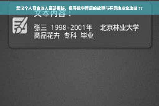 武汉个人薪金收入证明揭秘，探寻数字背后的故事与开具地点全攻略 ??