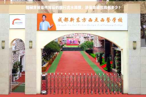 揭秘贪贿案件背后的银行流水真相，涉案金额究竟有多少？