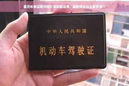 离开长春证明书图片及获取指南，最新规定与注意事项??