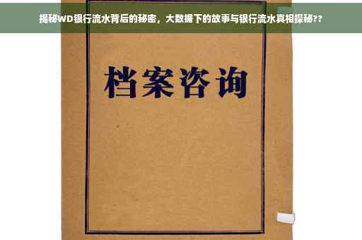 揭秘WD银行流水背后的秘密，大数据下的故事与银行流水真相探秘??
