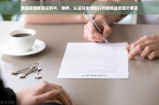 美国疫情疫苗证明书，接种、认证与全球旅行的新挑战及图片概览
