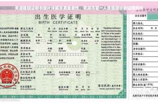 芜湖医院证明书图片详解及其重要性，芜湖市第一人民医院诊断证明解析