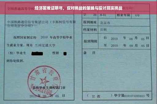 经济困难证明书，应对挑战的策略与探讨现实挑战
