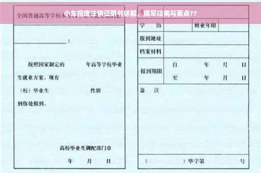 小车报废注销证明书详解，撰写指南与要点??